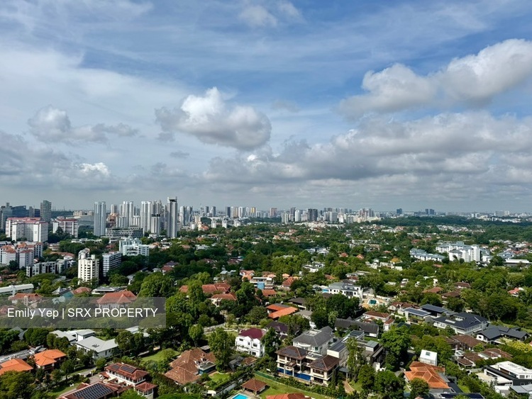 D'Leedon (D10), Condominium #561762311